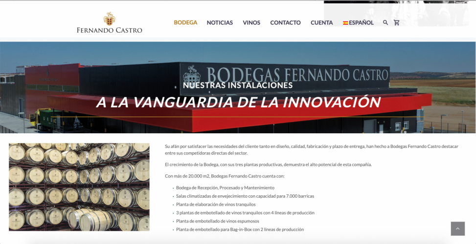 Web Bodegas Fernando Castro 2