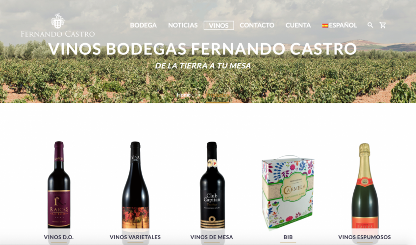Web Bodegas Fernando Castro 3
