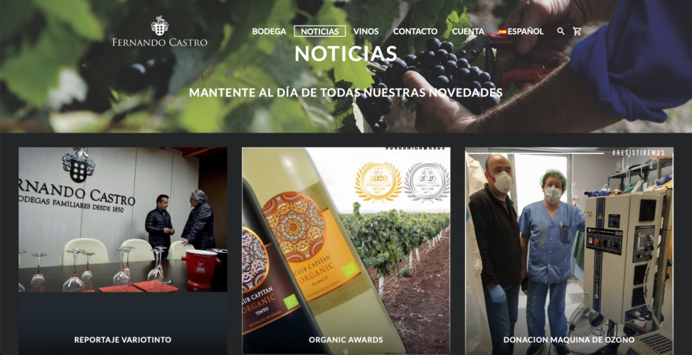 Web Bodegas Fernando Castro 5
