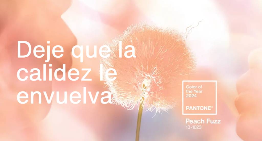 pantone 2024 peach fuzz pantone 2024 peach fuzz
