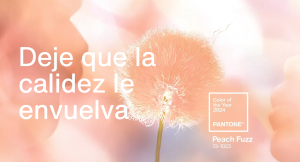 pantone 2024 peach fuzz