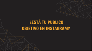 publico objetivo instagram