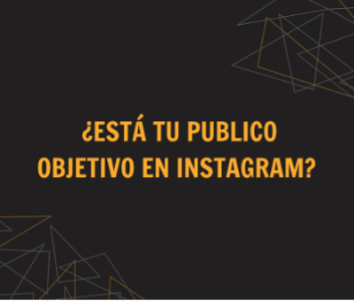 publico objetivo instagram