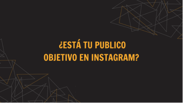 publico objetivo instagram