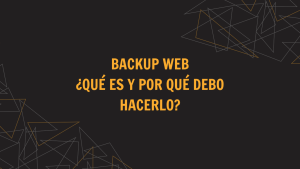 QUE ES UN BACKUP WEB