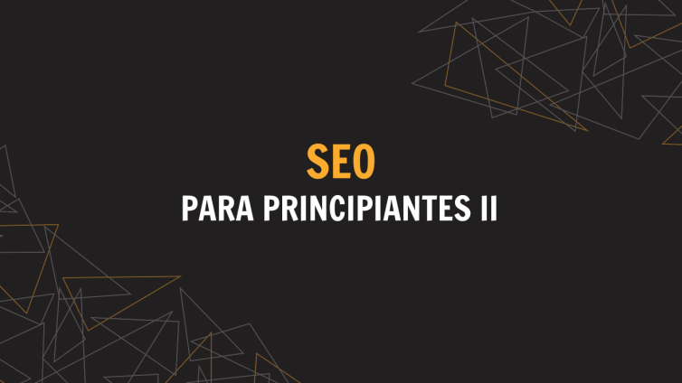 guía SEO para principiantes